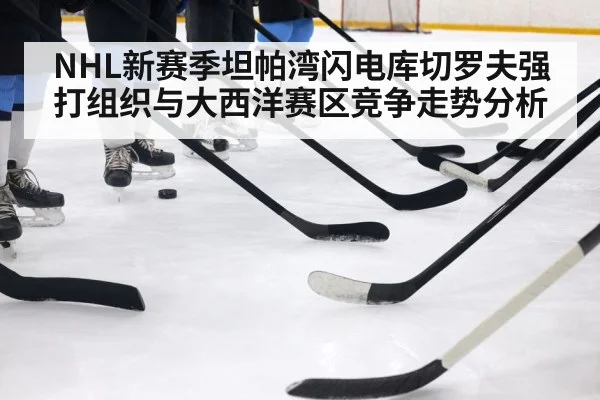 hockey player stick
